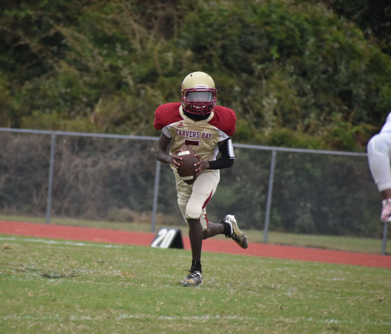 Brockington 2